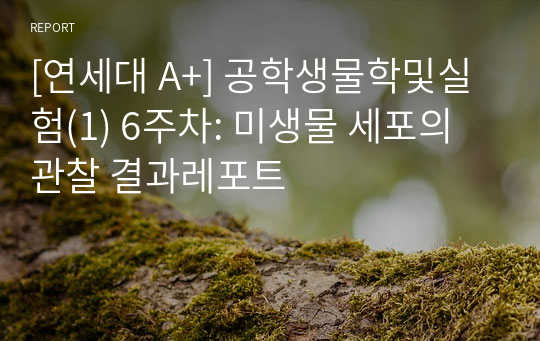 [연세대 A+] 공학생물학및실험(1) 6주차: 미생물 세포의 관찰 결과레포트