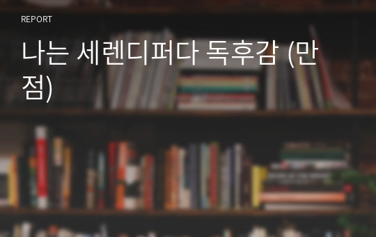 나는 세렌디퍼다 독후감 (만점)