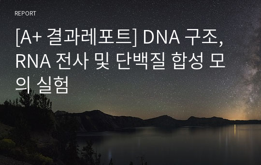 [A+ 결과레포트] DNA 구조, RNA 전사 및 단백질 합성 모의 실험