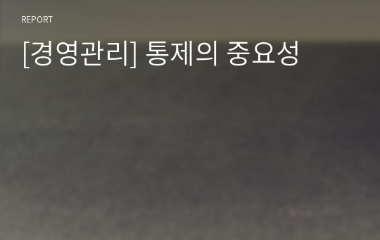 [경영관리] 통제의 중요성