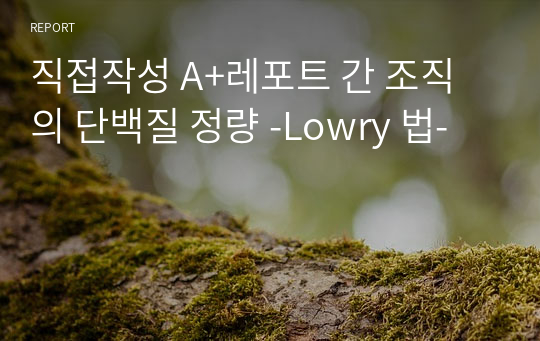 식영과수석 현 막학기 휴학생 (직접작성 A+레포트) 간 조직의 단백질 정량 -Lowry 법- [영양생화학 및 실험]