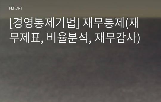 [경영통제기법] 재무통제(재무제표, 비율분석, 재무감사)