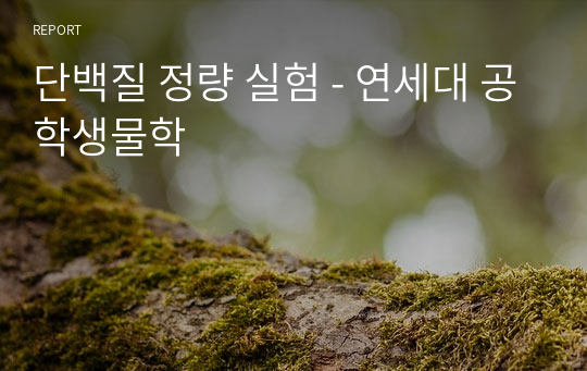 단백질 정량 실험 - 연세대 공학생물학