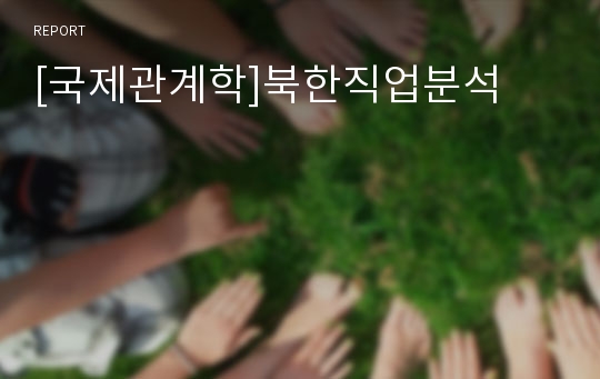 [국제관계학]북한직업분석