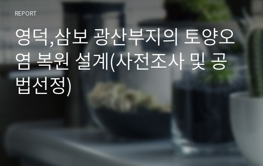 영덕,삼보 광산부지의 토양오염 복원 설계(사전조사 및 공법선정)