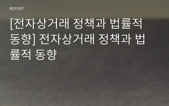 [전자상거래 정책과 법률적 동향] 전자상거래 정책과 법률적 동향