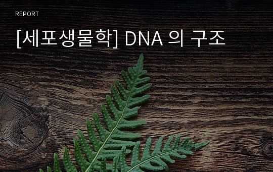 [세포생물학] DNA 의 구조