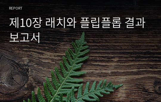 제10장 래치와 플립플롭 결과보고서