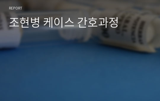 조현병 케이스 간호과정