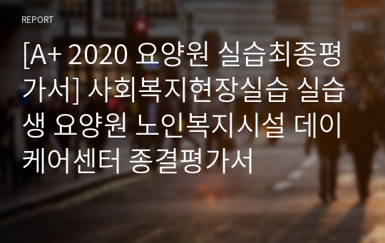 [A+ 2020 요양원 실습최종평가서] 사회복지현장실습 실습생 요양원 노인복지시설 데이케어센터 종결평가서