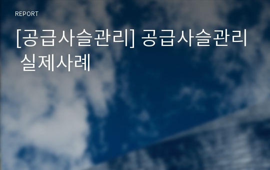 [공급사슬관리] 공급사슬관리 실제사례