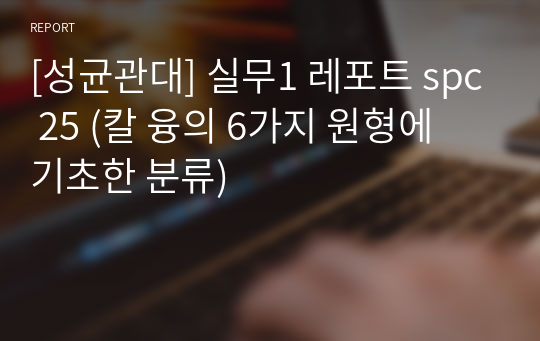 [성균관대] 실무1 레포트 spc 25 (칼 융의 6가지 원형에 기초한 분류)