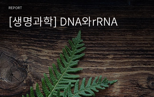 [생명과학] DNA와rRNA