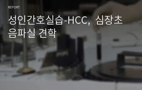 성인간호실습-HCC,  심장초음파실 견학