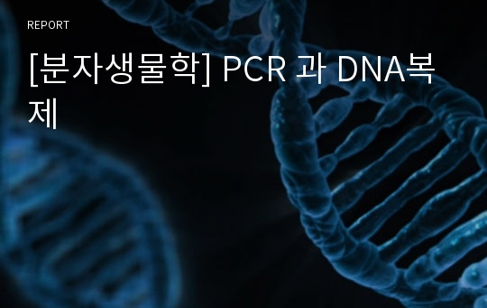 [분자생물학] PCR 과 DNA복제