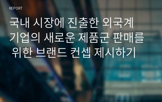 국내 시장에 진출한 외국계 기업의 새로운 제품군 판매를 위한 브랜드 컨셉 제시하기