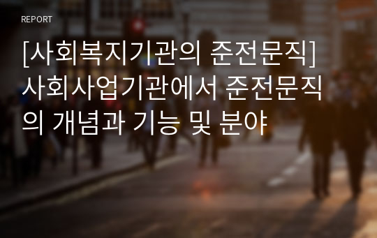 [사회복지기관의 준전문직] 사회사업기관에서 준전문직의 개념과 기능 및 분야