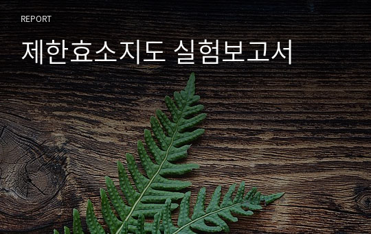 제한효소지도 실험보고서