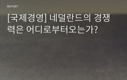 [국제경영] 네덜란드의 경쟁력은 어디로부터오는가?