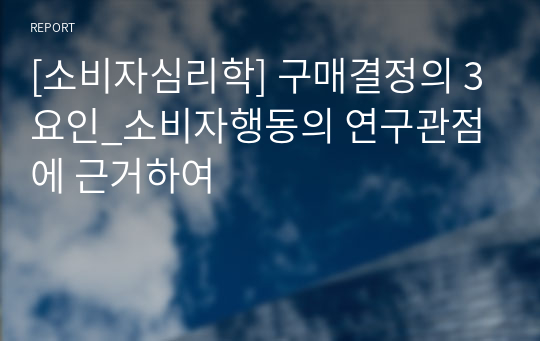 [소비자심리학] 구매결정의 3요인_소비자행동의 연구관점에 근거하여