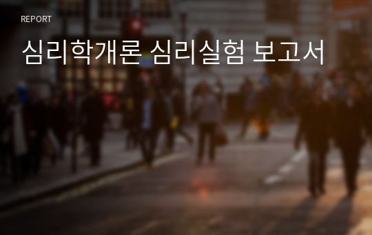 심리학개론 심리실험 보고서