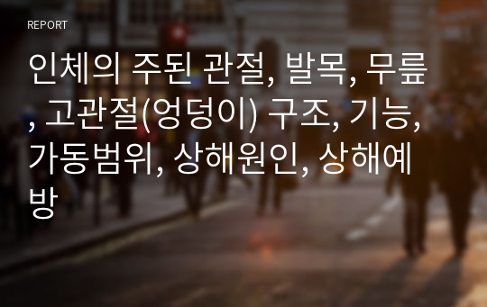 인체의 주된 관절, 발목, 무릎, 고관절(엉덩이) 구조, 기능, 가동범위, 상해원인, 상해예방