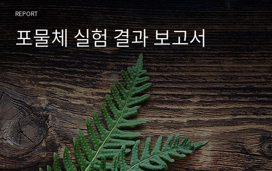 포물체 실험 결과 보고서