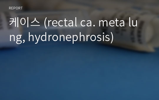 케이스 (rectal ca. meta lung, hydronephrosis)