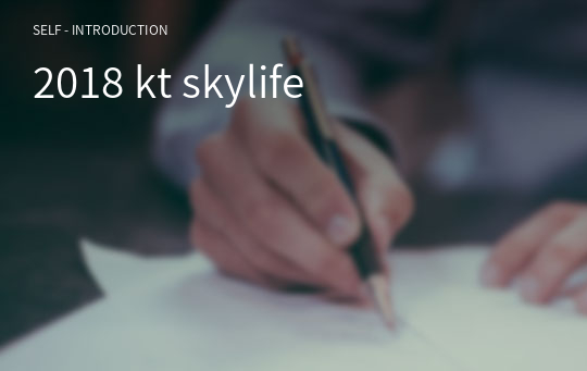 2018 kt skylife