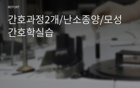 간호과정2개/난소종양/모성간호학실습