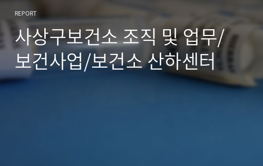 사상구보건소 조직 및 업무/보건사업/보건소 산하센터