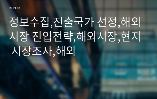 정보수집,진출국가 선정,해외시장 진입전략,해외시장,현지 시장조사,해외