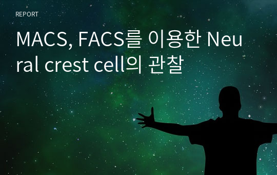 MACS, FACS를 이용한 Neural crest cell의 관찰