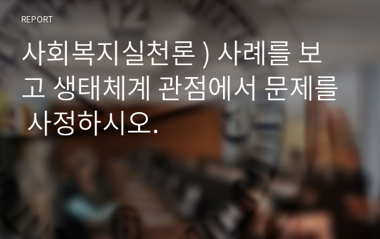 사회복지실천론 ) 사례를 보고 생태체계 관점에서 문제를 사정하시오.