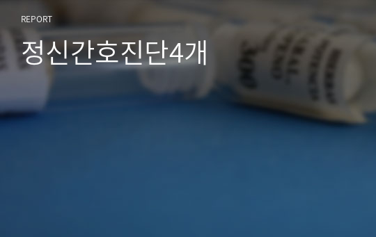 정신간호진단4개