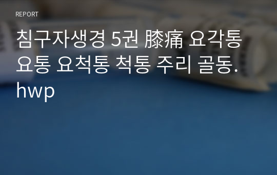 침구자생경 5권 膝痛 요각통 요통 요척통 척통 주리 골동.hwp