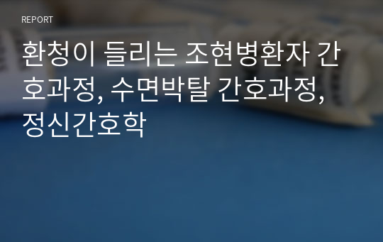 환청이 들리는 조현병환자 간호과정, 수면박탈 간호과정, 정신간호학