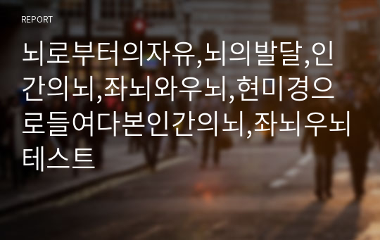 뇌로부터의자유,뇌의발달,인간의뇌,좌뇌와우뇌,현미경으로들여다본인간의뇌,좌뇌우뇌테스트