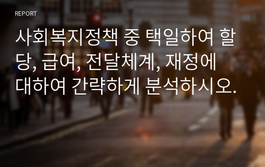 사회복지정책 중 택일하여 할당, 급여, 전달체계, 재정에 대하여 간략하게 분석하시오.