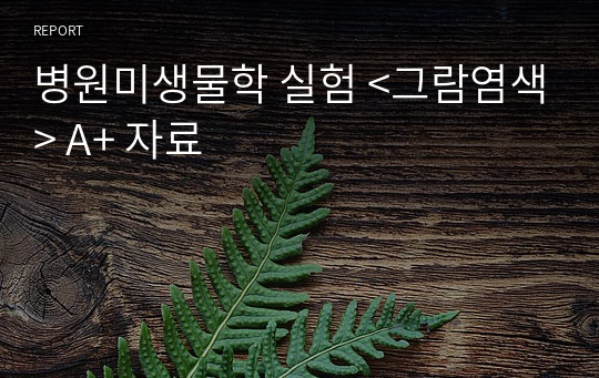 병원미생물학 실험 &lt;그람염색&gt; A+ 자료