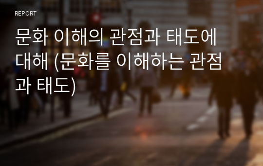 문화 이해의 관점과 태도에 대해 (문화를 이해하는 관점과 태도)