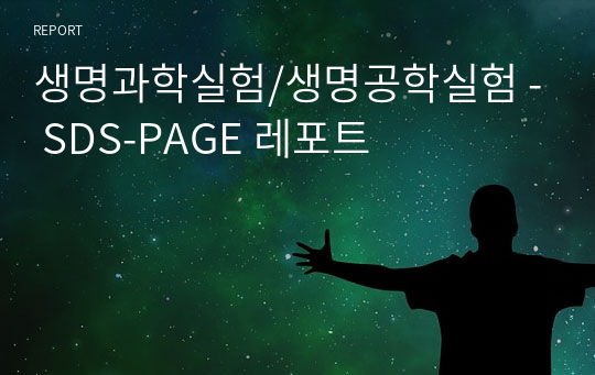 생명과학실험/생명공학실험 - SDS-PAGE 레포트