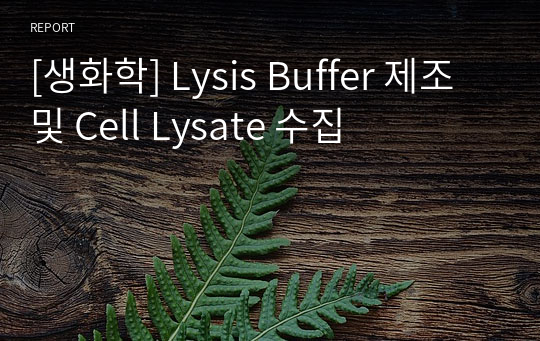 [생화학] Lysis Buffer 제조 및 Cell Lysate 수집