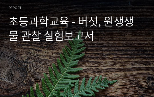 초등과학교육 - 버섯, 원생생물 관찰 실험보고서