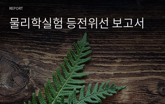 물리학실험 등전위선 보고서