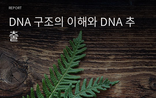 DNA 구조의 이해와 DNA 추출