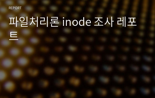 파일처리론 inode 조사 레포트