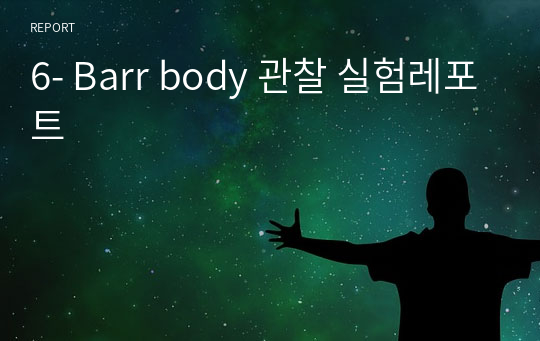 6- Barr body 관찰 실험레포트