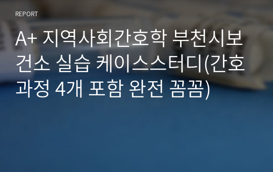 A+ 지역사회간호학 부천시보건소 실습 케이스스터디(간호과정 4개 포함 완전 꼼꼼)