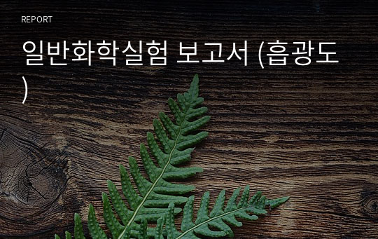 일반화학실험 보고서 (흡광도)